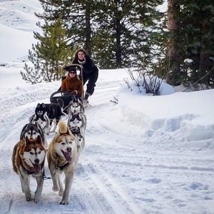 Meet your Posher, Tessa